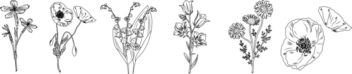 Luxury botanical background with trendy wildflowers and minimalist flowers for wall decoration or wedding. 