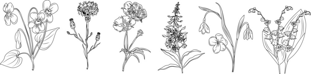 Luxury botanical background with trendy wildflowers and minimalist flowers for wall decoration or wedding. 