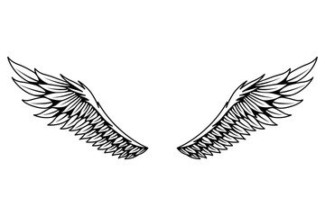 Vintage heraldic wings sketch. Monochrome stylized birds wings. Hand drawn contoured stiker wing in open position. Design elements in coloring style