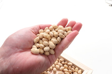 手のひらの節分の豆　鬼は外 鬼退治