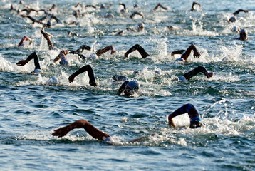 athletes swimming in Lake Geneva,  first race of International Geneva Triathlon, July 2013,  Geneva, Lake Geneva, Switzerland., Europe