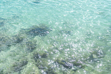 Light Blue Sea Water. blue water ocean texture background