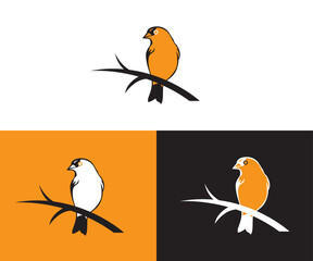 bird logo design