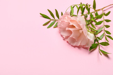 Beautiful flower with leaves on pink background
