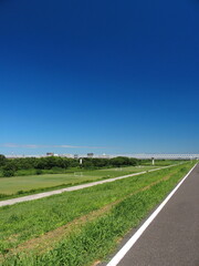 江戸川土手から見る誰もいない猛暑日の江戸川サイクリング道路と河川敷風景