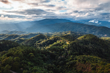 landscape view on high green hill