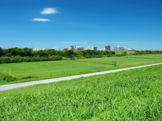 江戸川土手から見る誰もいない猛暑日の野球場のある江戸川河川敷風景