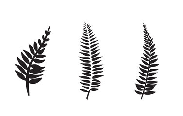 set of fern elements for decoration - obrazy, fototapety, plakaty