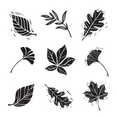 set of linocut styled leaves with shabby elements - 524430842