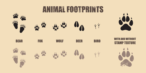 animal footprints with shabby stamp texture - 524430849