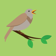 the nightingale sings on a branch