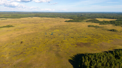 Picture of a Finnish bog swamp marsh peat natural scenery conservation area.