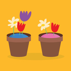 Two pots with colored soil and flowers
