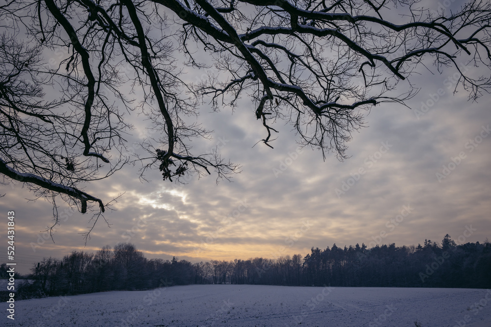 Sticker Winter landscape in Rogow, Lodz Province of Poland