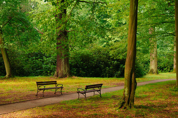 Pusta alejka parkowa w letni pochmurny dzień. Przy alejce stoją puste ławki. Wokół rosną zielone drzewa. 