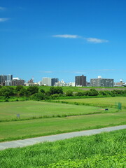 Obraz premium 江戸川土手から見る誰もいない猛暑日の野球場のある江戸川河川敷風景