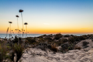 Sunset over the dunes of the beach in Punta Umbría, Huelva, Spain.