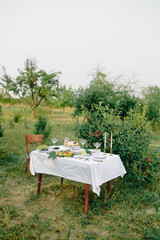 Outdoor garden picnic with beautiful rustic table set. Beautiful summer flowers on the table.