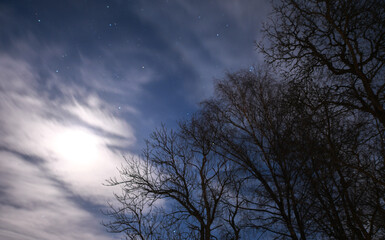 Fototapeta na wymiar Moonlight in the dark in winter