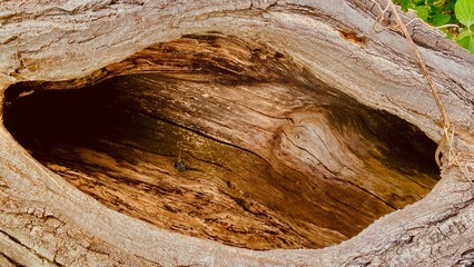 old wood texture - best background wallpaper 