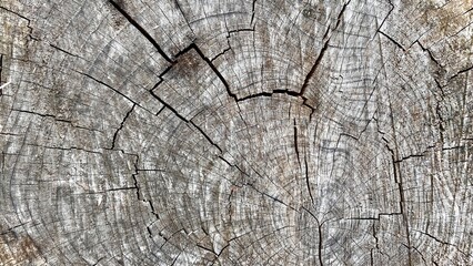 old wood texture - best background wallpaper 