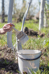 person watering the garden