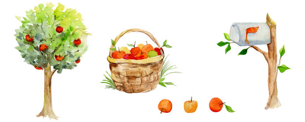 Watercolor hand drawn set of apple tree, basket of apples, postbox, isolated on white background. Design elements for cards, gift bags, invitations, textile, print, wallpaper, for children