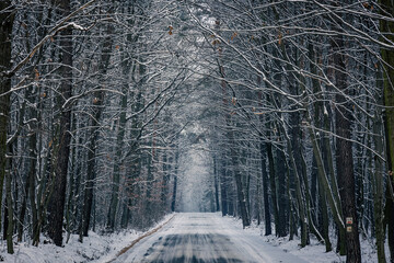 Side road covered during winter in Rogow, Lodz Province, Poland - obrazy, fototapety, plakaty