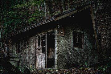 Fototapeta na wymiar 森の中にひっそりと佇む廃屋 Creepy abandoned house