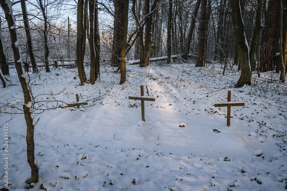 Poster Wooden crosses on World War I cemetery Rogow, Lodz Province of Poland