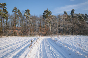 Fototapeta na wymiar Field road during winter in Rogow village, Lodz Province of Poland