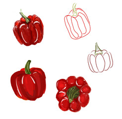 Digital illustration Paprika in different drawing techniques