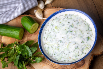 Traditional delicious appetizer; tzatziki (Turkish name; cacik)