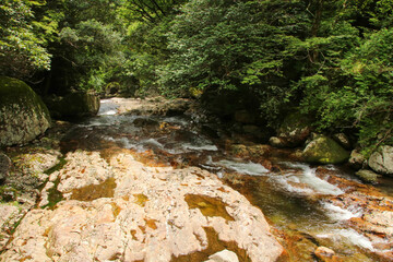 愛媛県松野町　滑床渓谷の風景
