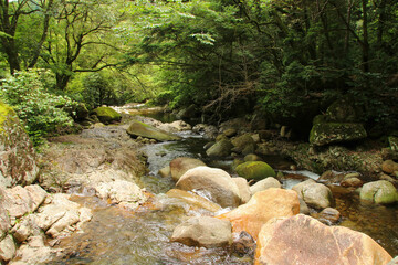 愛媛県松野町　滑床渓谷の風景
