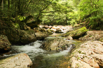 愛媛県松野町　滑床渓谷の風景

