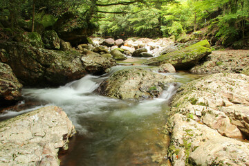 愛媛県松野町　滑床渓谷の風景
