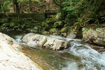 愛媛県松野町　滑床渓谷の風景
