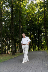 Fototapeta premium An elderly man walks alone in the park in the summer. Portrait of an old man who is alone in the park among the trees.
