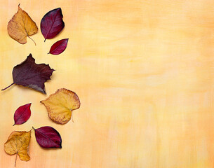 Fototapeta na wymiar autumn dry leaves on yellow textured background