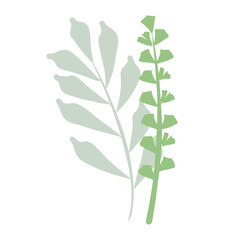 Aesthetic wreath green leaf nature