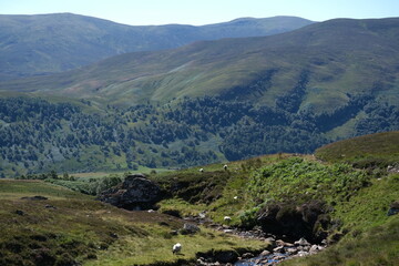 Fototapeta na wymiar Majestic Scottish Peaks: Breathtaking Landscape in the Highlands