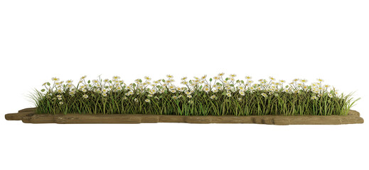 Decorative park and garden flowers.3D rendering