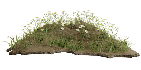 Decorative park and garden flowers.3D rendering