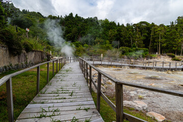 Volcanic hotsprings Of The Lake Furnas. Sao Miguel, Azores. Lagoa das Furnas Hotsprings. Steam...