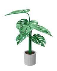 Fototapeta na wymiar Monstera leaves with plant pot.3D rendering