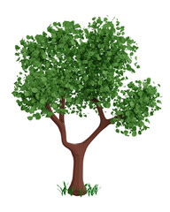 Fototapeta na wymiar Shapes and green tree.3D rendering