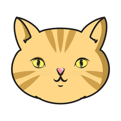 Cute Head Cat Solid Orange Strip Color