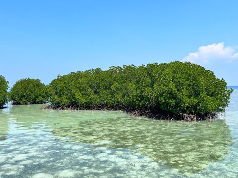 Seafront At Daylight On Pulau Tidung, One Of The Thousand Islands Close To Jakarta, Indonesia