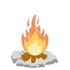 Fire burns wood fiery flame bright fireball flames of different shapes